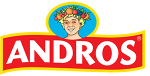 andros-logo-300x